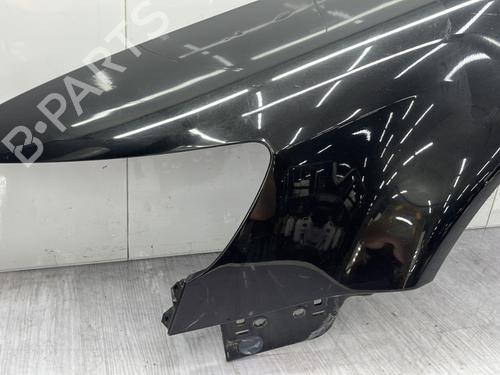 Błotnik przedni lewy VW PHAETON (3D1, 3D2, 3D3, 3D4, 3D6, 3D7, 3D8, 3D9) 3.0 V6 TDI 4motion | BP29512704C41 