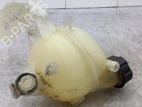 expansion-tank-citroen-c3-ii-sc_-2009-23707699 main image