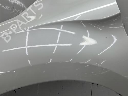 Left front fenders CITROËN DS4 (NX_) 2.0 HDi / BlueHDi 135 | BP29634692C41 