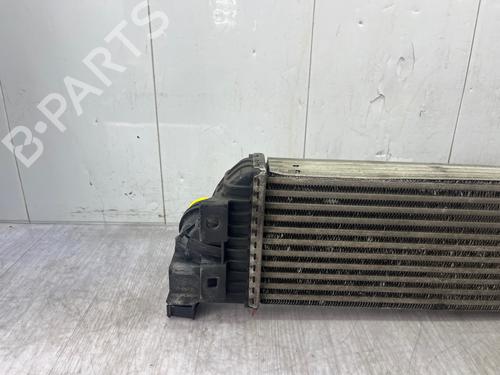 Intercooler RENAULT MASTER III Van (FV) 2.3 dCi 125 FWD (FV0C, FV0D, FV0G, FV0H, FV0J, FV0K,... | BP36646388M30 - Image 6