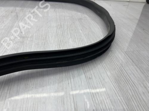 rubber-door-seal-dacia-sandero-iii-2021-37868052 main image