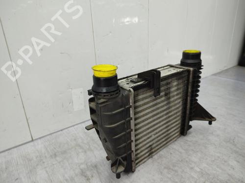 Ladeluftkühler RENAULT CLIO III Grandtour (KR0/1_) 1.5 dCi | BP23732694M30 