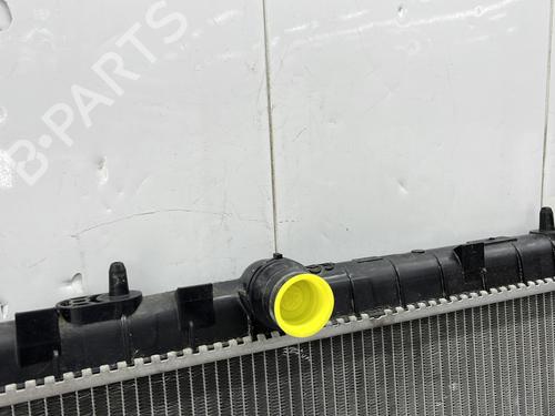 Water radiator CITROËN C4 II (NC_) 1.6 BlueHDi 120 | BP33969341M31  - Image 7