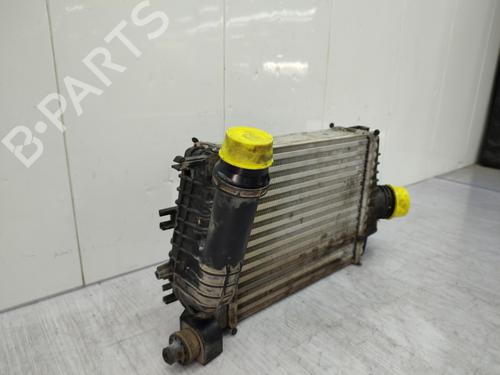 Intercooler DACIA DUSTER (HS_) 1.2 TCe 125 | BP23723125M30 - Image 6