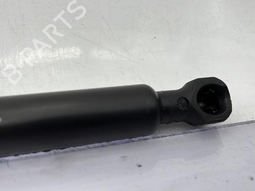 hood-lift-support-dacia-sandero-ii-2012-23761518 main image