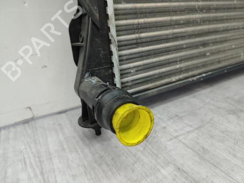 Used Water radiator Water radiator SEAT EXEO (3R2) 2.0 TDI (143 hp) 23732043 23732043