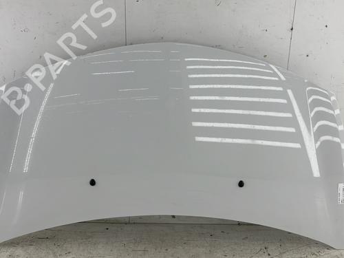 Used Hood RENAULT CLIO III (BR0/1, CR0/1) 1.5 dCi (88 hp) 23760506