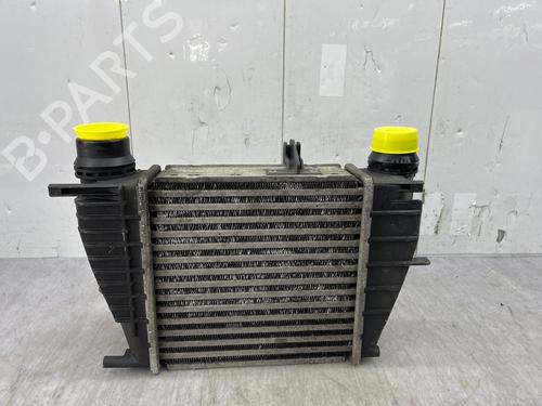 Intercooler Intercooler RENAULT CLIO III (BR0/1, CR0/1) 1.5 dCi (BR0H, CR0H, CR1S, BR1S) (106 hp) 35890211 35890211
