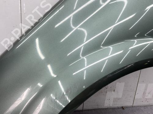 Left front fenders RENAULT MEGANE II (BM0/1_, CM0/1_) 1.6 16V (BM0C, CM0C) | BP25006484C41 