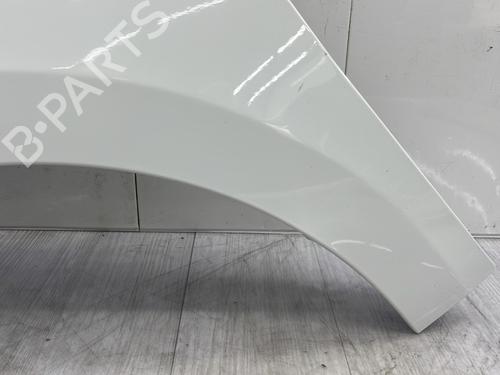left-front-fenders-renault-megane-iii-hatchback-bz01_-b3_-2008-33631030 main image
