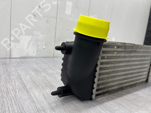 Intercooler CITROËN C8 (EA_, EB_) 2.0 HDi 135 | BP38627113M30 - Image 8