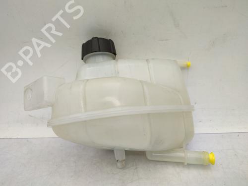 Expansion tank NISSAN QASHQAI II (J11, J11_) 1.6 DIG-T | BP29066096C120 