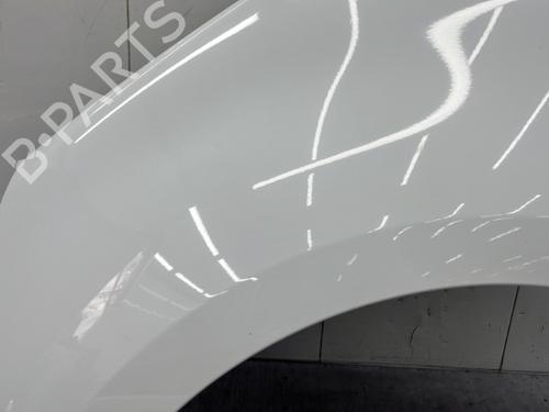 Left front fenders RENAULT SCÉNIC III (JZ0/1_) 1.5 dCi | BP23756535C41 