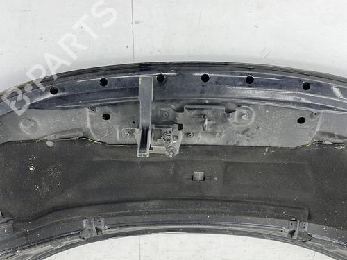 Hood RENAULT SCÉNIC III (JZ0/1_) 1.5 dCi | BP28353949C1 