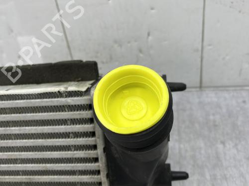 Ladeluftkühler FORD FIESTA VI (CB1, CCN) 1.0 EcoBoost | BP23751488M30 