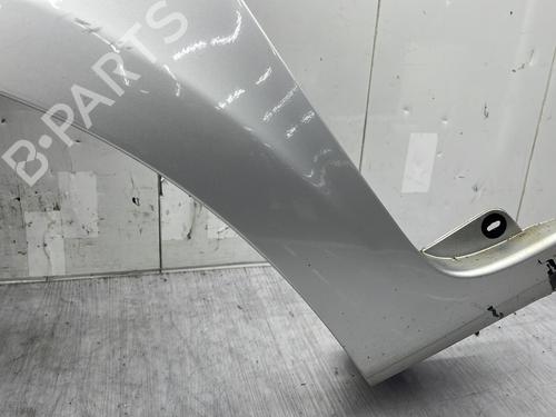 Left front fenders RENAULT CLIO III (BR0/1, CR0/1) 1.5 dCi (BR17, CR17) | BP29634701C41
