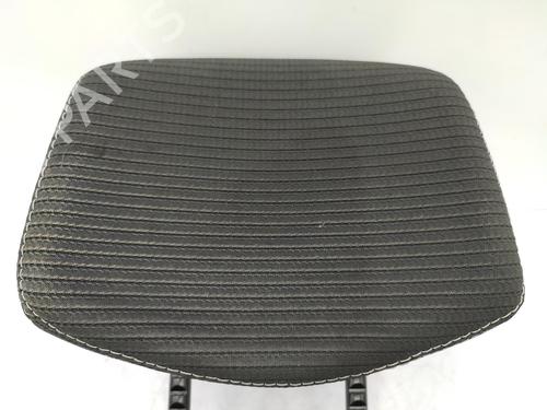 Headrest RENAULT CLIO III (BR0/1, CR0/1) 1.5 dCi (BR17, CR17) | BP23729397I31 