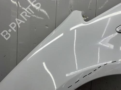 Left front fenders FORD C-MAX (DM2) 1.6 TDCi | BP27594520C41 