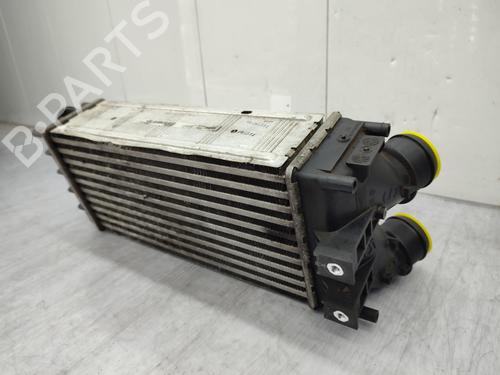 Intercooler CITROËN C4 II (NC_) 1.6 HDi 110 | BP23679492M30  - Image 6