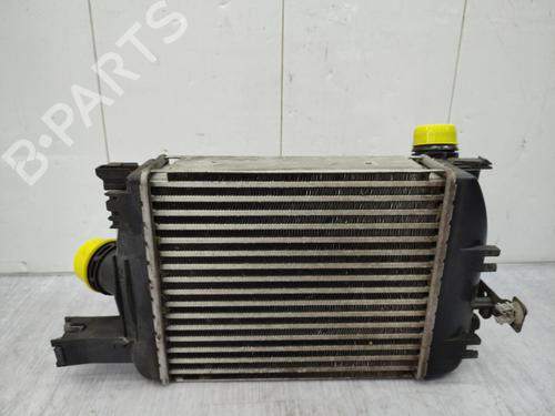 Intercooler RENAULT CAPTUR I (J5_, H5_) 1.2 TCe 120 | BP23741539M30  - Image 6