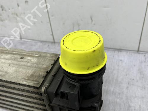 Used Intercooler Intercooler RENAULT SCÉNIC III (JZ0/1_) 1.5 dCi (110 hp) 23681047 23681047