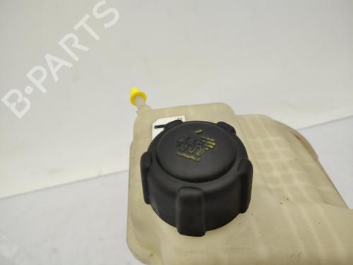 Expansion tank NISSAN QASHQAI I (J10, NJ10) 1.5 dCi | BP23710894C120
