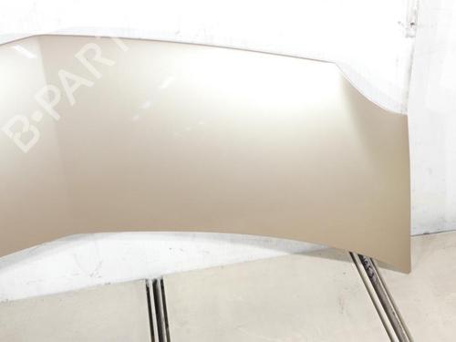 hood-renault-modus-grand-modus-fjp0_-2004-23695147 main image
