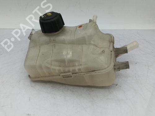 Used Expansion tank RENAULT SCÉNIC III (JZ0/1_) 1.9 dCi (JZ0J, JZ1J, JZ1K, JZ1S) (131 hp) 23712337