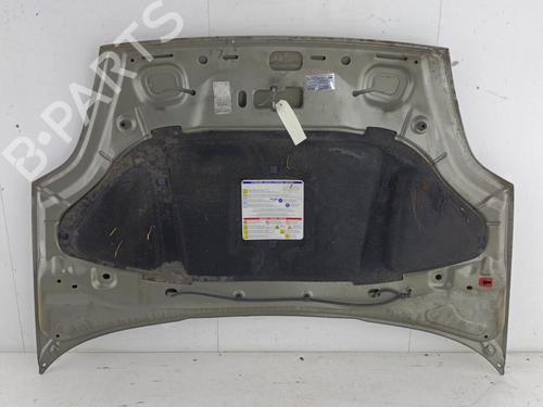 Hood FIAT GRANDE PUNTO (199_) 1.3 D Multijet | BP23676752C1 