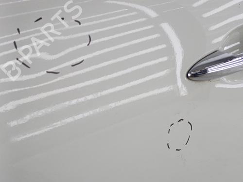 Left front door ALFA ROMEO MITO (955_) 1.3 MultiJet (955AXP1A, 955AYC1A) | BP23710513C2 
