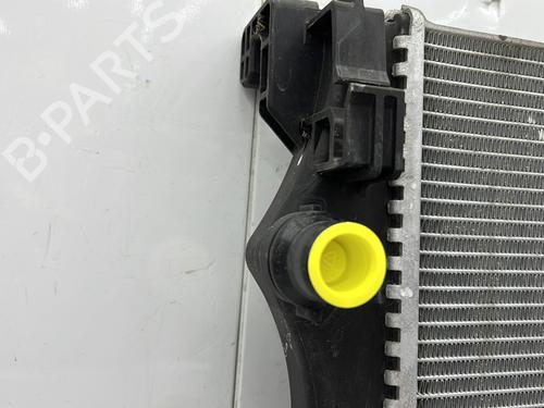 Used Water radiator Water radiator MERCEDES-BENZ A-CLASS (W177) A 180 d (177.003) (116 hp) 25653263 25653263