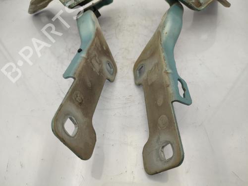 Hinge/Door check strap RENAULT CLIO III (BR0/1, CR0/1) 1.5 dCi (BR17, CR17) | BP23677621C146 