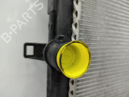 Water radiator RENAULT LATITUDE (L70_) 2.0 dCi 150 (L70H) | BP23712668M31  - Image 9