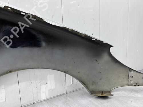 Left front fenders PEUGEOT 206 Hatchback (2A/C) 1.4 HDi eco 70 | BP28110267C41 