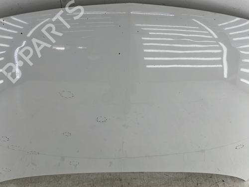 Capot Capot OPEL CORSA D (S07) 1.3 CDTI (L08, L68) (95 hp) 23759870 23759870
