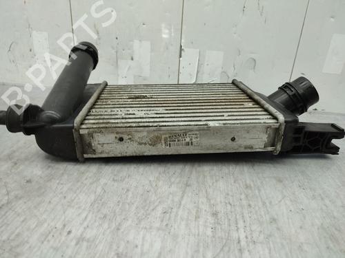 Intercooler DACIA LOGAN MCV II TCe 90 (K8M1, K8MA, K8AC) | BP27523654M30  - Image 6