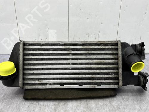 Used Intercooler FIAT 500 (312_) 0.9 (312AXG1A, 312.AXG11) (86 hp) 23756048