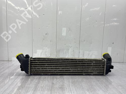Intercooler RENAULT KANGOO Express (FC0/1_) | BP38283489M30 - Image 4