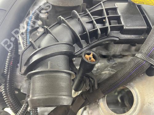 Engine CITROËN C3 AIRCROSS II (2R_, 2C_) 1.5 BlueHDi 110 | BP37743747M1 - Image 6