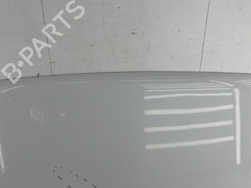 Hood RENAULT RAPID Box Body/MPV (F40_, G40_) 1.6 D (F404) | BP23758244C1