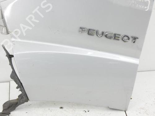 Left front fenders PEUGEOT BOXER Van 2.2 HDi 120 | BP23673195C41 
