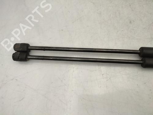 Tailgate lift support CITROËN DS4 (NX_) 1.6 HDi 115 | BP25346539C138 