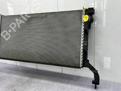 Water radiator RENAULT LAGUNA III (BT0/1) 1.5 dCi (BT00, BT0A, BT0T, BT1J) | BP23754771M31 