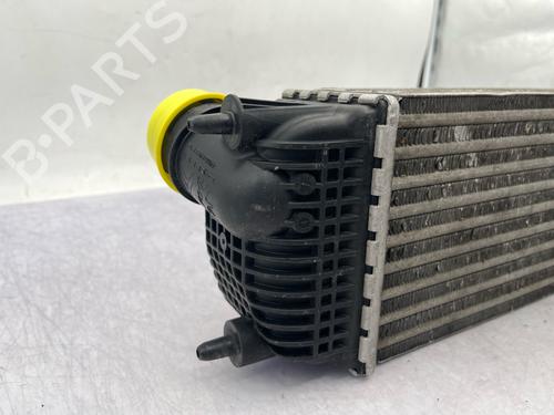 Intercooler CITROËN C5 III (RD_) 2.0 HDi 140 (RDRHF8, RDRHFA, RDRHA8, RDRHAJ) | BP35890488M30 - Image 6