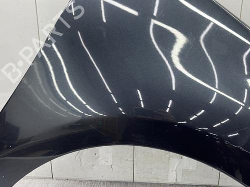 Right front fenders RENAULT SCÉNIC III (JZ0/1_) 1.9 dCi (JZ0J, JZ1J, JZ1K, JZ1S) | BP25249467C42 