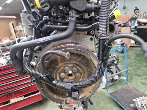 Engine VW POLO IV (9N_, 9A_) 1.4 TDI | BP23678751M1