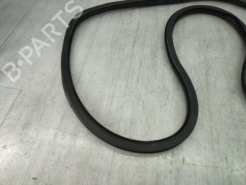 Rubber door seal VW TIGUAN (5N_) 2.0 TDI | BP24883452C142 