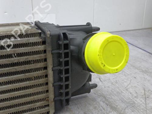 Used Intercooler Intercooler PEUGEOT 407 (6D_) 1.6 HDi 110 (6D9HZC, 6D9HYC) (109 hp) 23675778 23675778