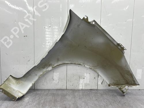 Left front fenders FORD FIESTA VI (CB1, CCN) 1.5 TDCi | BP31137692C41 