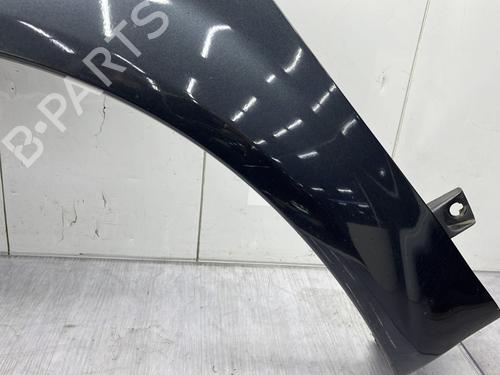 Left front fenders RENAULT SCÉNIC II (JM0/1_) 1.5 dCi (JM1E, JM16) | BP23682019C41 